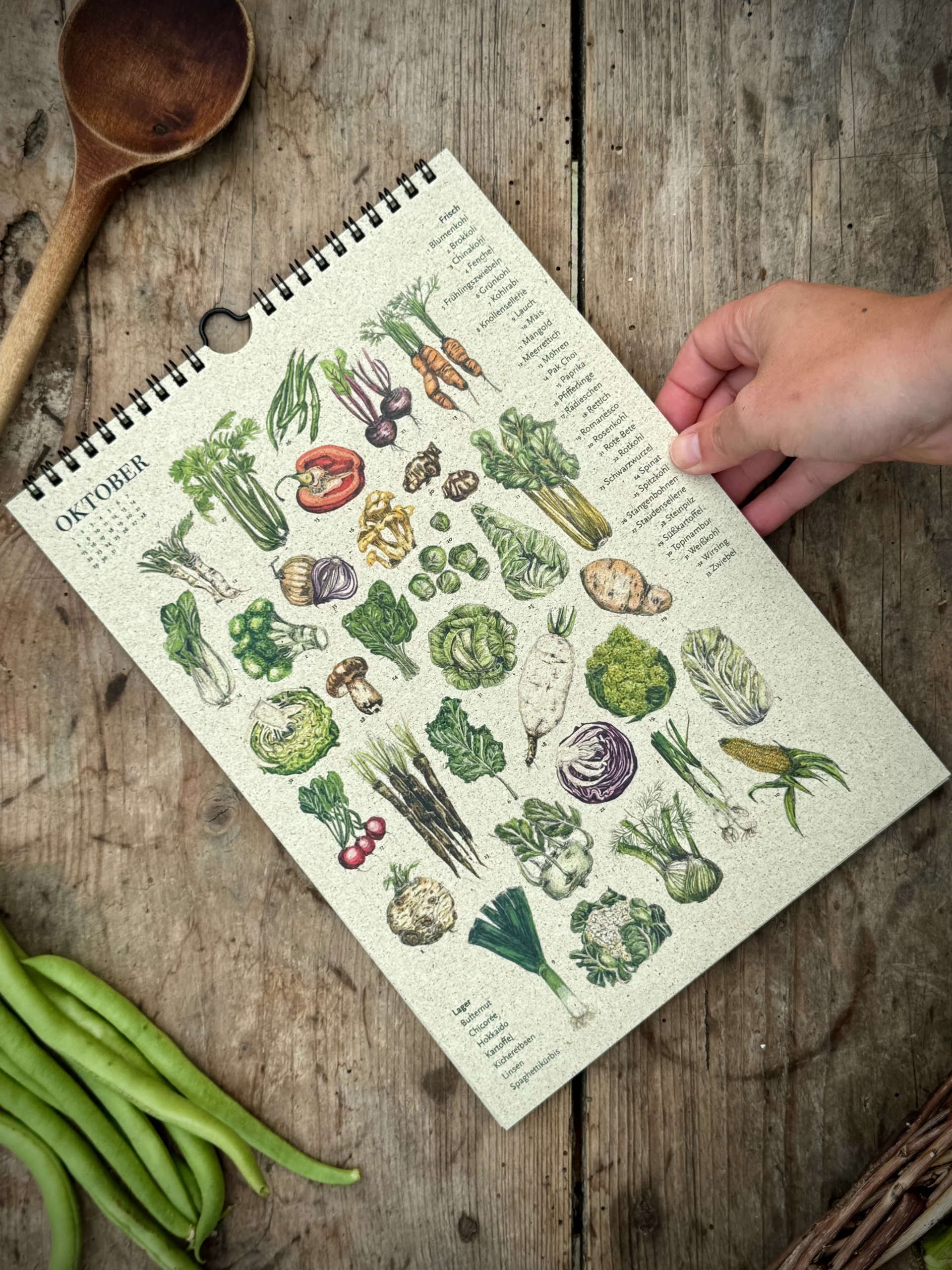 Saisonkalender mit Ringbindung auf nachhaltigem Graspapier zeigt den Monat Oktober mit frischem Herbstgemüse